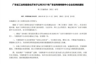 2021年廣東省專(zhuān)精特新中小企業(yè)名單